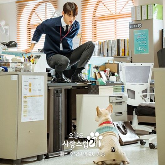 Good Day to be a dog Ep 3