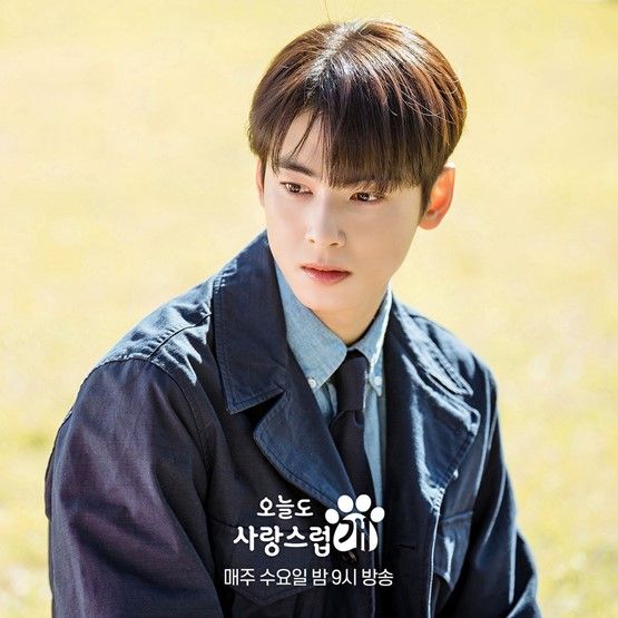 A Good Day to Be a Dog Episode 4