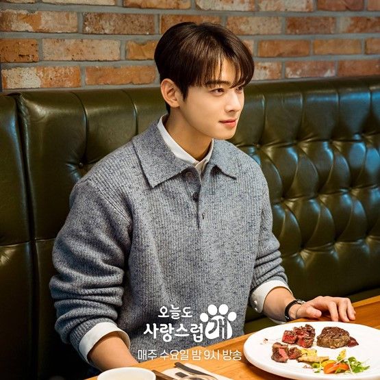 A Good Day to Be a Dog Episode 7