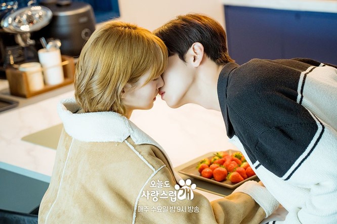 A Good Day to Be a Dog Episode 12