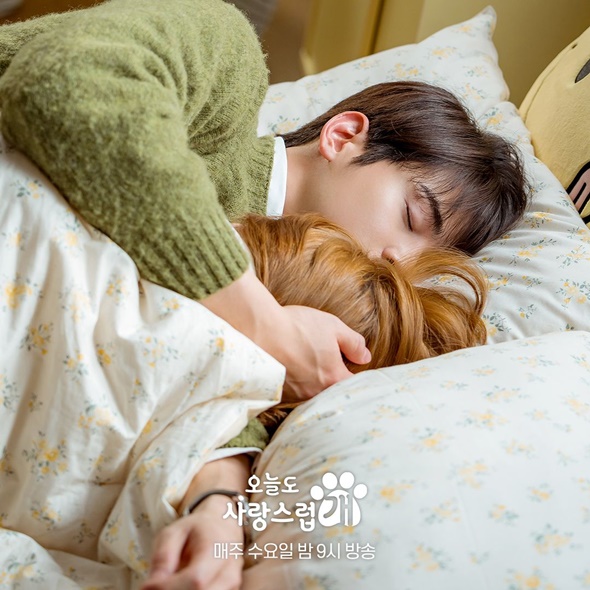 A good day to be a dog Episode 10