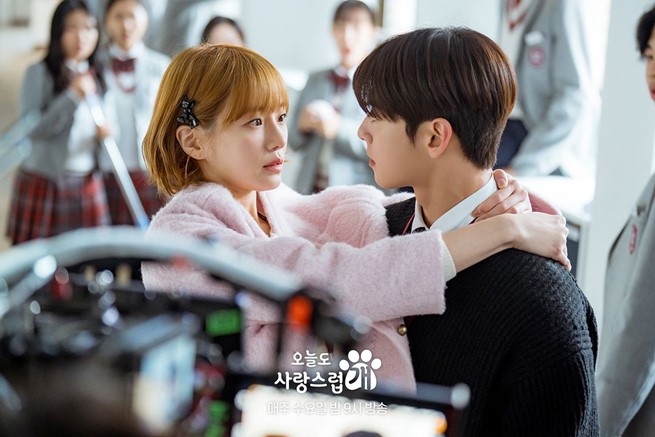 A Good Day to Be a Dog Ep 14