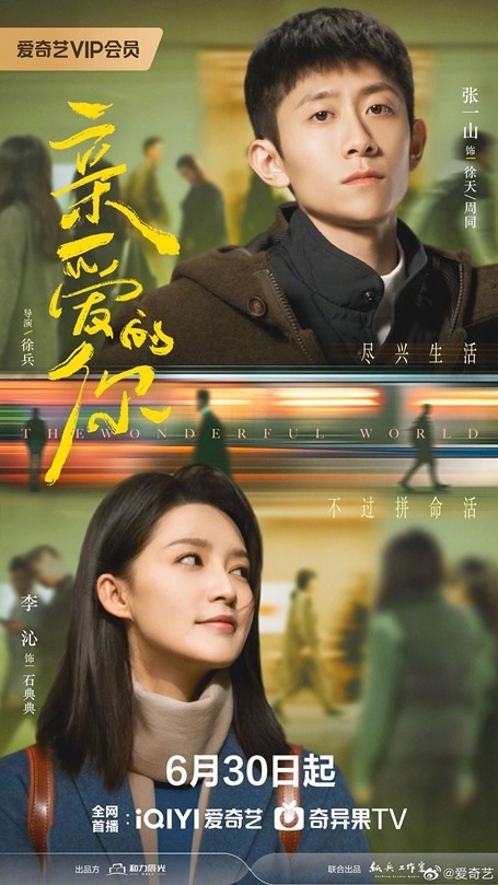 The Wonderful World poster C-drama