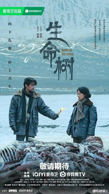 Yang Zi and Hu Ge on Born to Be Alive poster